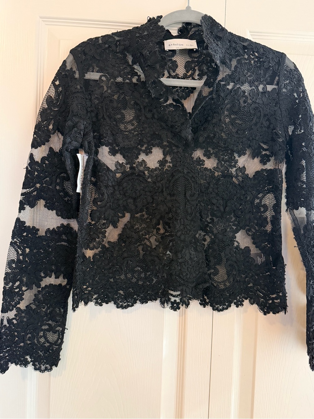 Babaton Black Floral Lace Sheer Blouse